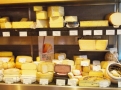 Výběr tvrdých sýrů