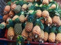 Čerstvý ananas je nezbytným doplněním  červeného kari