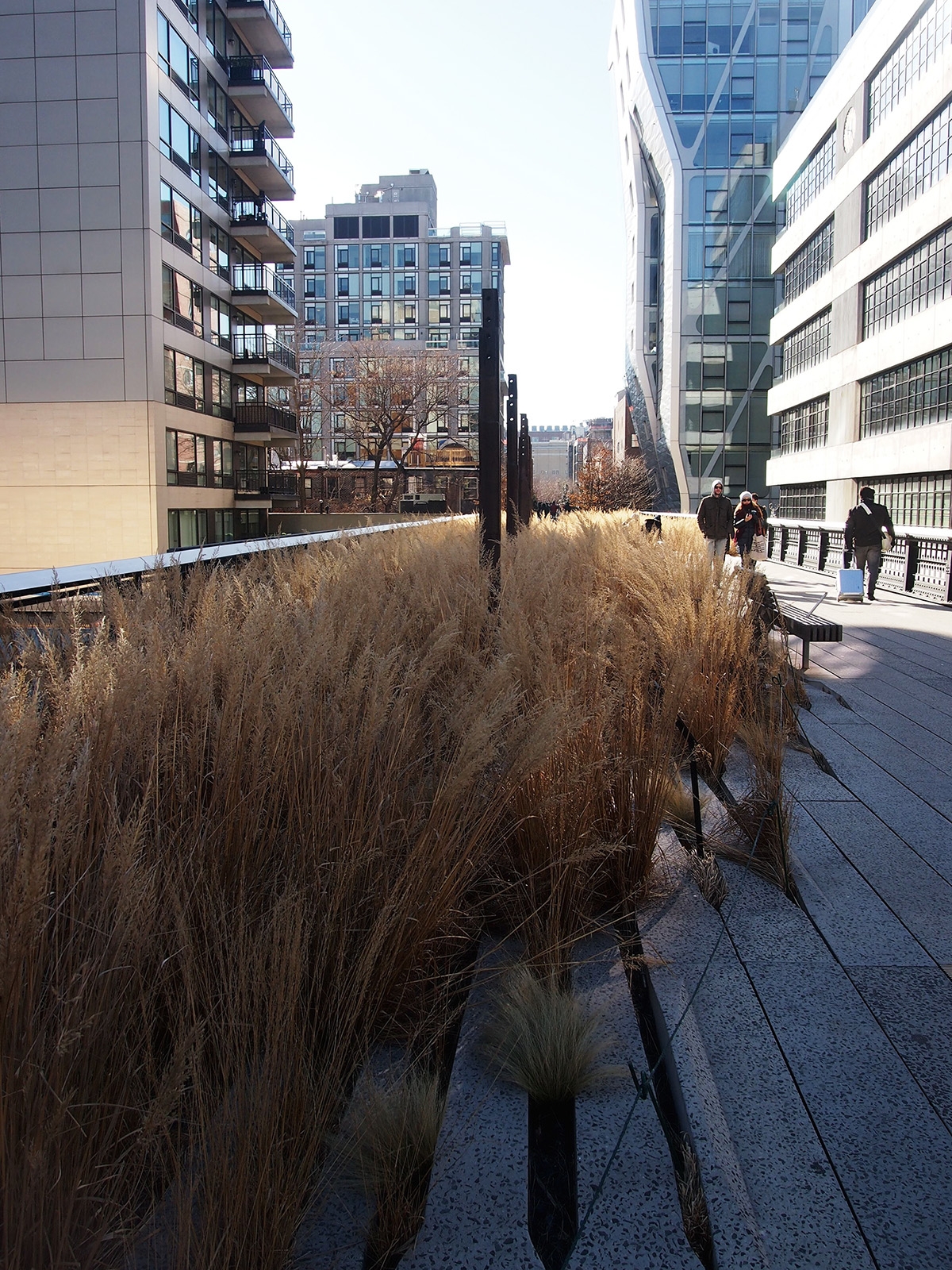 Vyvýšený park High Line představuje úžasné výhledy
