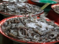 Tygří krevety jsou neodmyslitelnou součástí thajské kuchyně